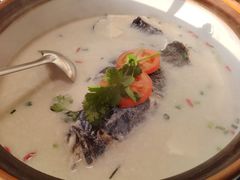 -全乐鱼馆·淳牌有机鱼直营店