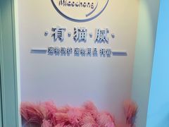 -喵宠乐园·撸猫互动·猫舍