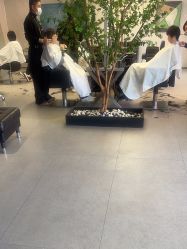 点击看大图 -付军剪艺JF ProSalon