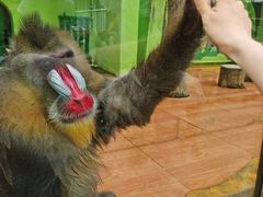 -荆州中山公园动物园