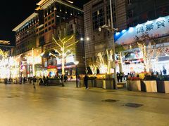 -翠园(北京王府中环店)