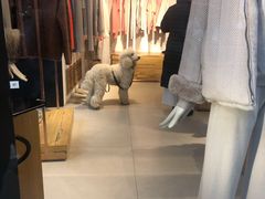 -文艺复兴百货(米兰大教堂广场店)