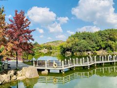 -白马涧龙池景区