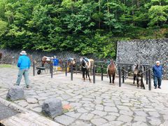 -富士山吉田線五合目