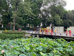 -荔湾湖公园