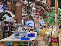 -卡通尼·Safari非洲探索乐园·生日会(金桥国际商业广场店)