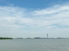 -上海滨江森林公园