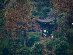 -重庆彩云湖湿地公园