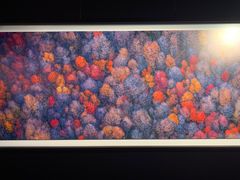 -罗红摄影艺术馆