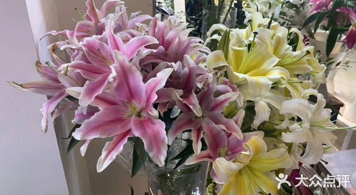 长春青怡坊鲜花批发(青怡坊花鸟市场店)图片
