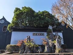 -东山雕花楼