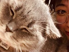 -猫色咖啡·猫咖