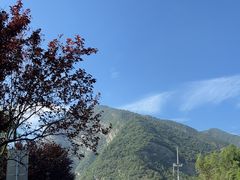 -少华山国家森林公园
