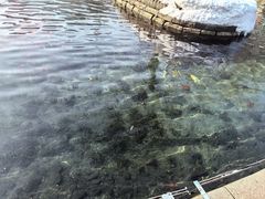 -水磨沟公园