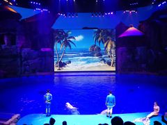 -芜湖新华联大白鲸海洋公园