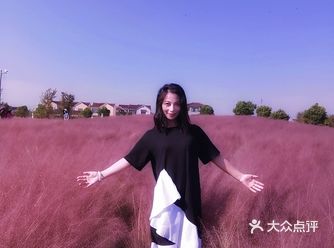 秋日打卡,怎能错过如此粉色的浪漫?
