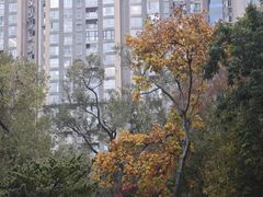 -中山公园