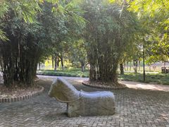 -瀛洲公园