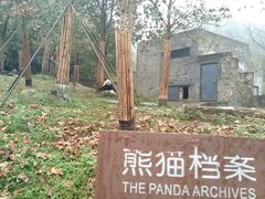 -都江堰中华大熊猫苑