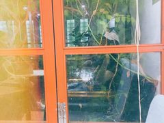 -猫的天空之城概念书店(苏州平江店)