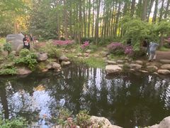 -上海共青森林公园