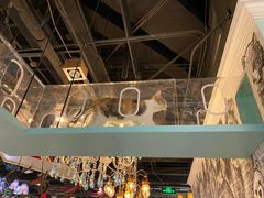 -猫小院猫主题餐厅(三里屯店)