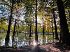 -泗洪洪泽湖湿地景区