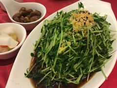 -田园小观园(武大店)