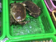 -都斛海鲜街