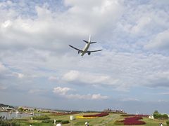 -空港花田景区