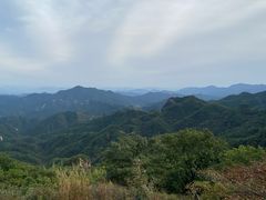 -六里坪国家森林公园