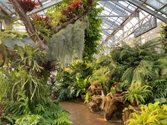 -国家植物园南园