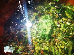 -皇家冰窖小院(什刹海店)