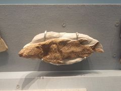 -湖南省地质博物馆