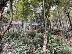 -杭州灵山景区