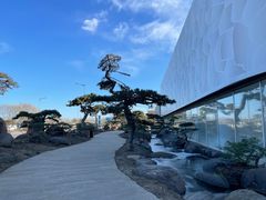 -罗红摄影艺术馆