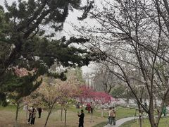 -堤角公园
