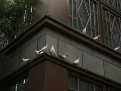 -中粮·祥云小镇