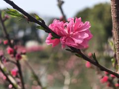 -圩墩遗址公园