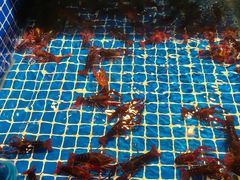 -破瓦寒窑·地摊烤羊排