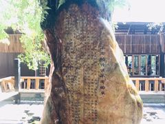 -天门沟九州驿站树上汤泉