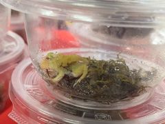 -上海大自然野生昆虫馆(东方明珠·爬宠昆虫探索中心)