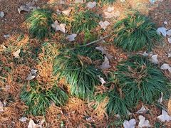 -浙江农林大学(东湖校区)