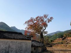 -塔川景区