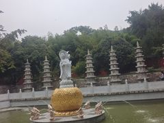 -泰山风景名胜区-普照寺