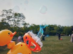 -上海海湾国家森林公园