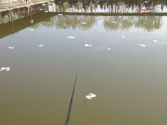 iphone_upload_pic-北京上庄水库尚野露天户外自助烧烤