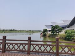 -盐城丹顶鹤湿地生态旅游区