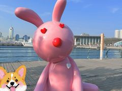 -情人坝酒吧街