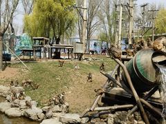 -北京野生动物园